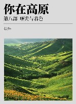 你在高原 xa0第8部 xa0曙光与暮色