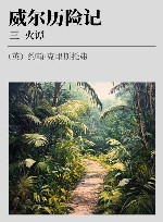 威尔历险记  3  火谭