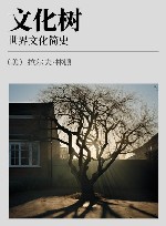 文化树  世界文化简史封面