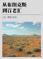 从布朗克斯到百老汇