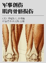 军事创伤  肌肉骨骼损伤封面