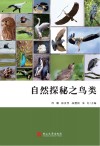 自然探秘之鸟类