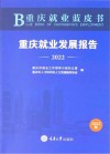 重庆就业蓝皮书  重庆就业发展报告  2022