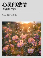 心灵的激情  弗洛伊德传  2封面