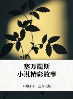 塞万提斯小说精彩故事 封面