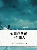 如果在冬夜，一个旅人 封面