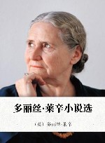 另外那个女人  多丽丝·莱辛小说