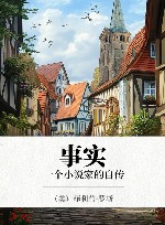事实  一个小说家的自传