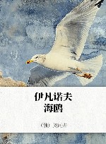伊凡诺夫  海鸥