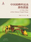 中国胡蜂科昆虫原色图鉴封面