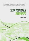 云南传统农业发展研究封面