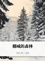 挪威的森林 封面