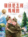 钢铁是怎样炼成的