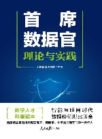 首席数据官  理论与实践