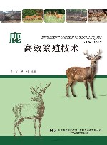 鹿高效繁殖技术封面