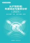 跨媒介叙事研究丛书  从IP到影视  年度综述与案例分析  2023 封面