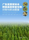 广东省国家林木种苗基地有害生物识别与防治图鉴