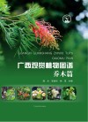 自然资源研究丛书  广西观赏植物图谱  乔木篇