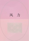 风力