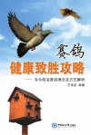 赛鸽健康制胜攻略  当今前沿赛鸽理念及方式解析