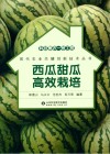 科技惠农一号工程  西瓜甜瓜高效栽培封面