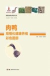 肉鸭规模化健康养殖彩色图册封面