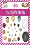 自然趣玩屋  鸟蛋的秘密