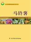 马铃薯