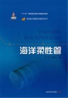 海洋柔性管