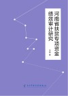 河南省扶贫专项资金绩效审计研究 封面