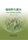 榆林野生灌木