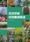 菏泽学院校园植物图谱