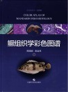 鳜组织学彩色图谱