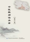 中医跟师传承录