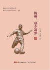 梅州：球乡筑梦
