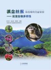滇金丝猴最南端的美丽家园  云龙生物多样性封面