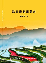 欢迎来到东莫市