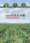 湖北省草地贪夜蛾监测与防控技术手册封面
