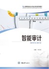 智能审计封面