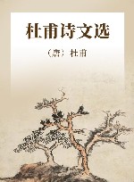 杜甫诗文选 封面