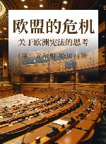 欧盟的危机  关于欧洲宪法的思考