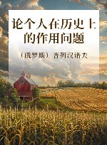 论个人在历史上的作用问题