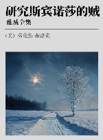 雅贼全集  研究斯宾诺莎的贼