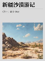 新疆沙漠游记 封面