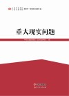 重大现实问题