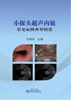 小探头超声内镜常见病例典型图谱封面