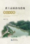 黄土高原治沟造地理论与实践