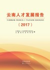 云南人才发展报告  2017封面