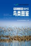 鸭绿江口湿地保护区鸟类图鉴