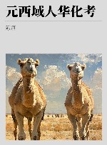 元西域人华化考